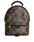Louis Vuitton Mini Palm Springs World Tour, front view